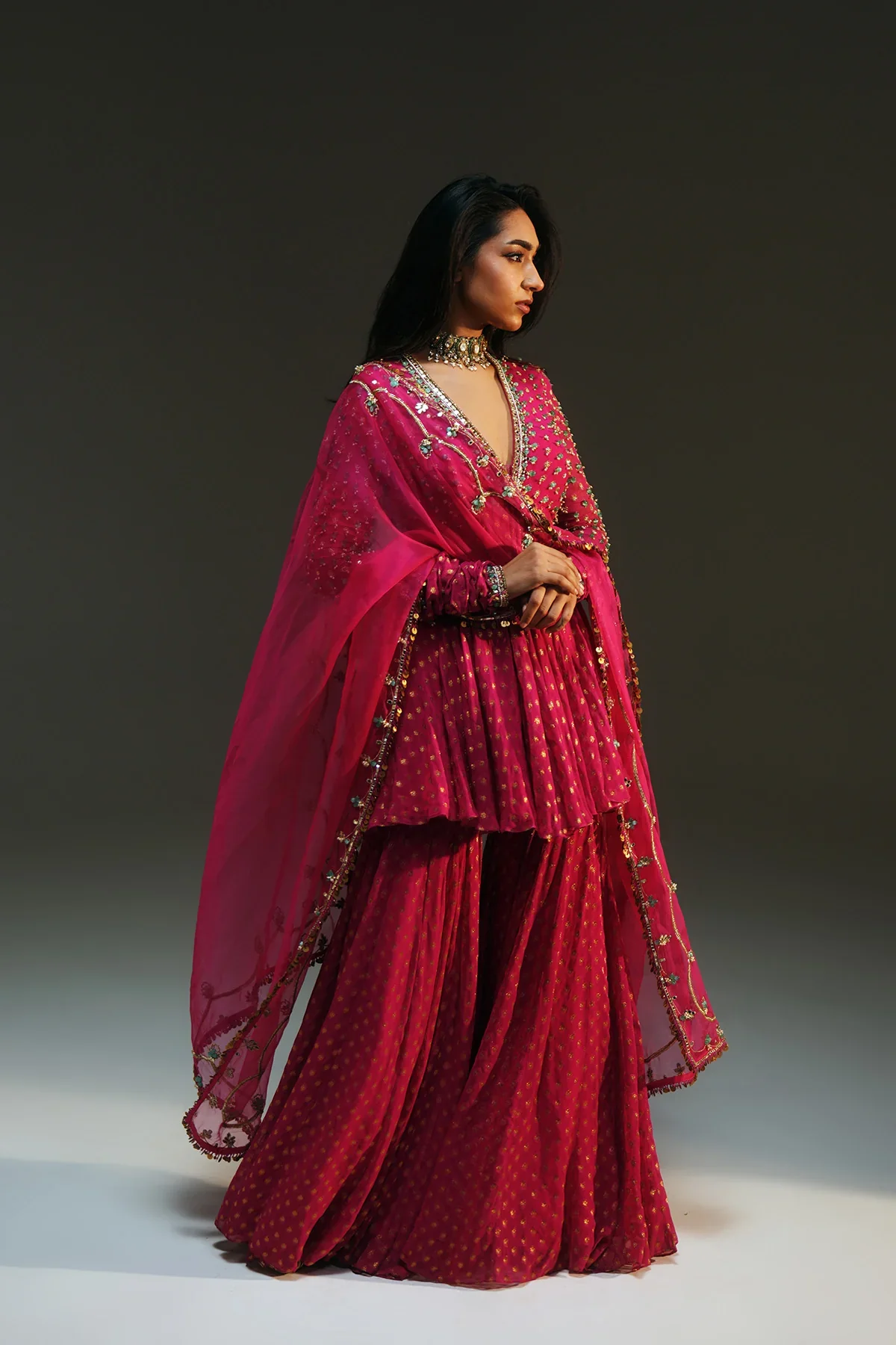 Naina Rani Luxe Hand-Embellished Sharara Suit - Image 4
